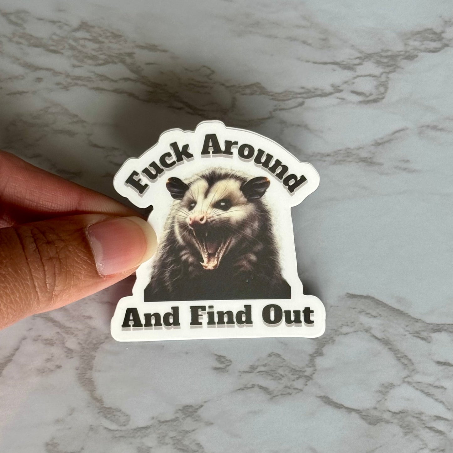 Opossum Fuck Around and Find Out Sticker